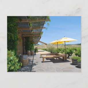 Sonoma Winery Postcard