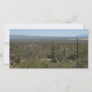 Sonora Desert Museum