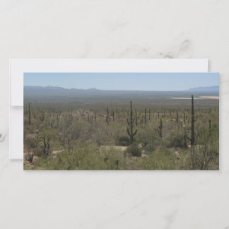 Sonora Desert Museum