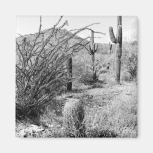 Sonoran Cacti Desert Garden Refrigerator Magnets