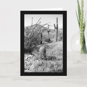 Sonoran Cactus Desert Garden Photo Cartes de voeux