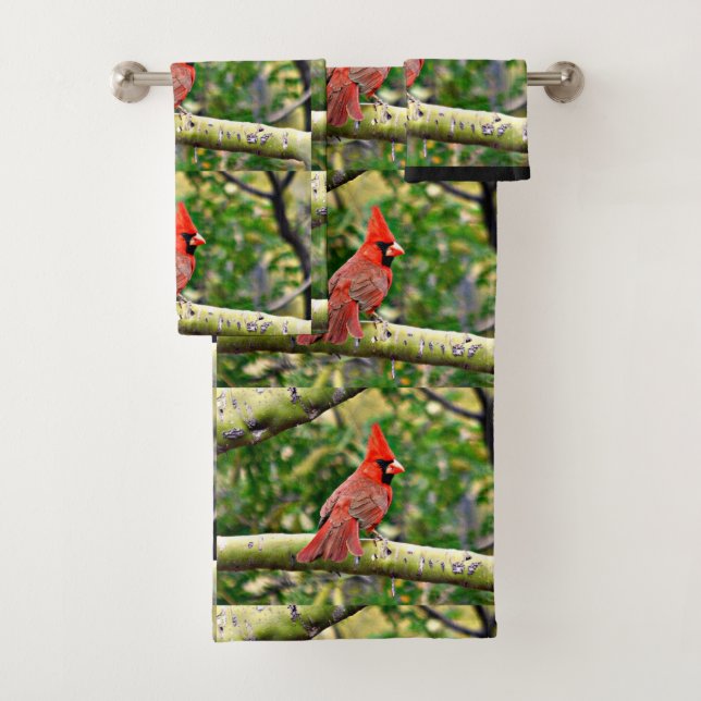 Sonoran Cardinal Towel Set (Insitu)