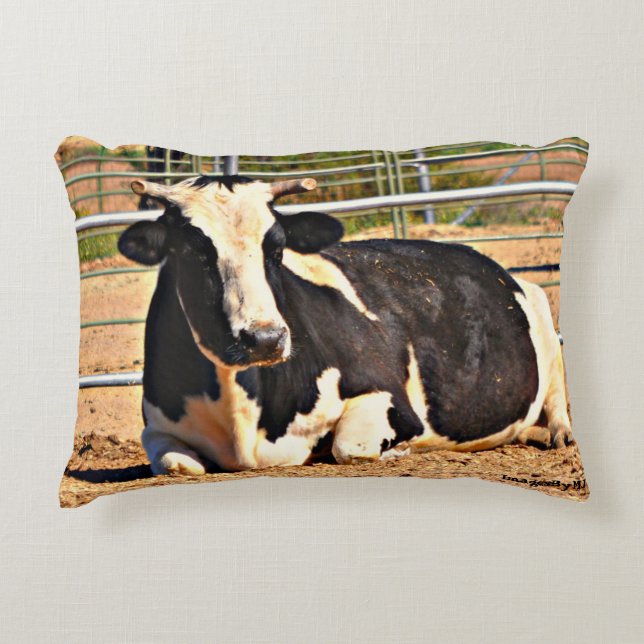 Sonoran Cow Accent Pillow (Front)