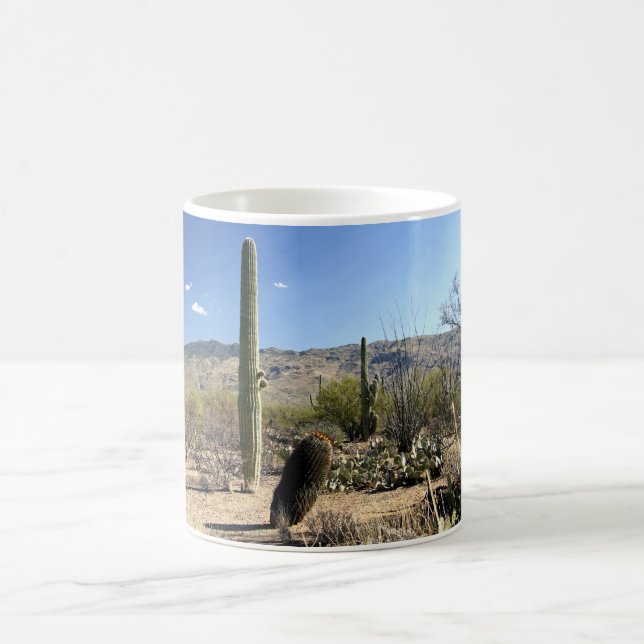 Sonoran Desert 03 mug (Center)
