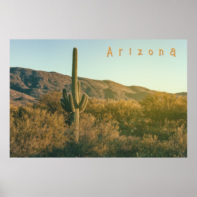 Sonoran Desert Arizona Poster (Front)