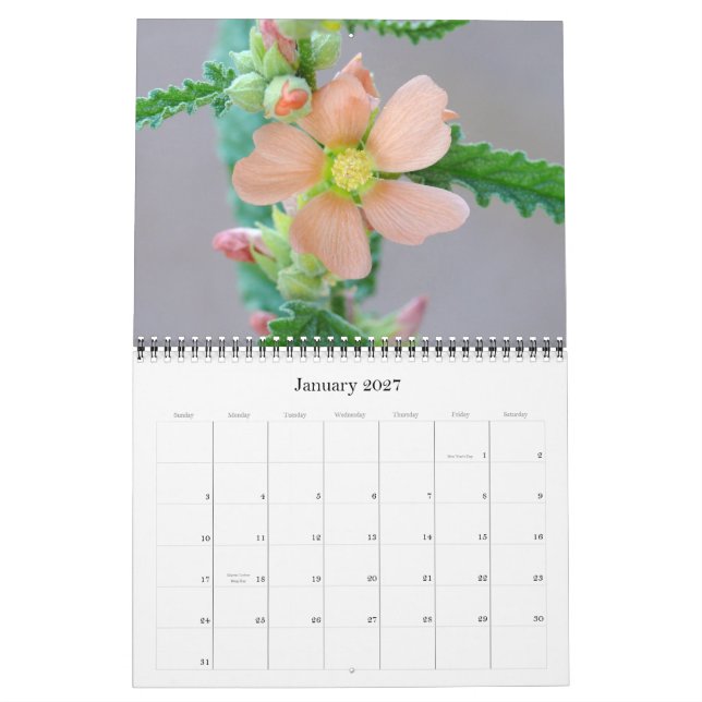 Sonoran Desert Calendar for 2008 (Jan 2027)