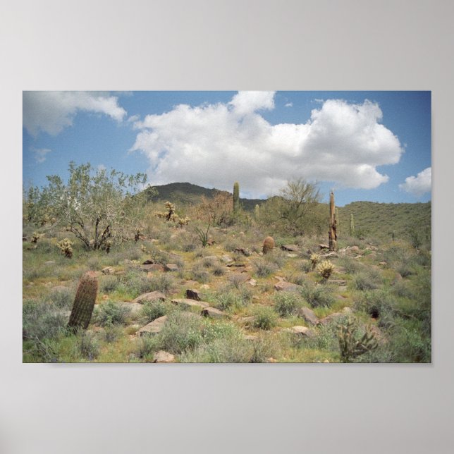 Sonoran Desert Pastoral Art Imprimer Photo Posters (Devant)