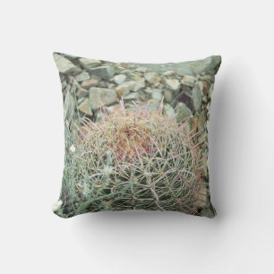 Sonoran Desert Poetry Cactus Photo Pillow