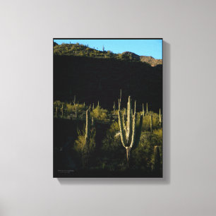 Sonoran Desert Scene with Giant Saguaro Cactus Canvas Print