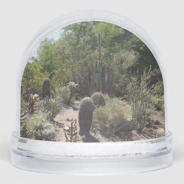 Sonoran Desert Snow Globe (Front)
