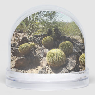 Sonoran Desert Snow Globe