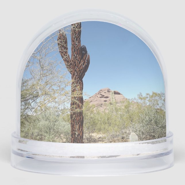 Sonoran Desert Snow Globe (Front)