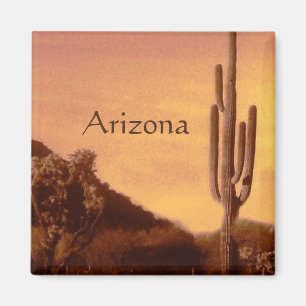 Sonoran sunset, Arizona Magnet