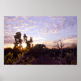 Sonoran Sunset Poster