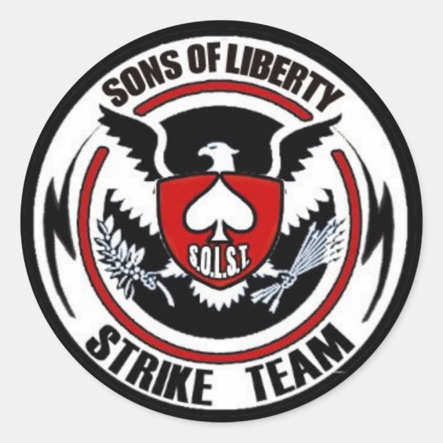 Sons Of Liberty Strike Team Classic Round Sticker (Front)