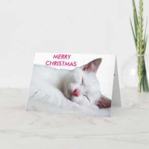 sooooooooooooooo sleepy, MERRYCHRISTMAS Holiday Card