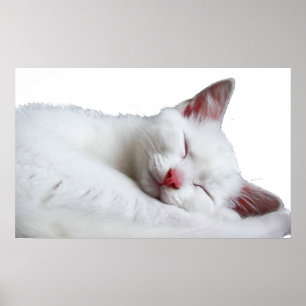 sooooooooooooooo sleepy poster