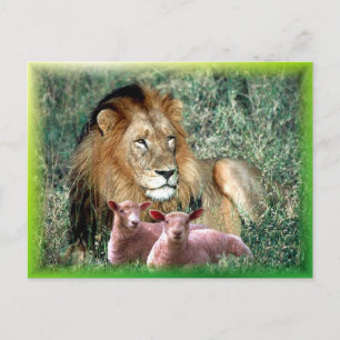 Soothes the Soul - Postcard