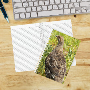 Sooty Grouse Wildlife Photo Notebook
