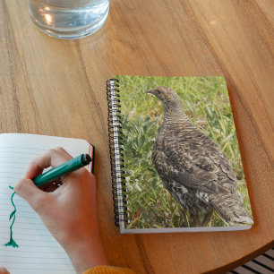 Sooty Grouse Wildlife Photo Notebook