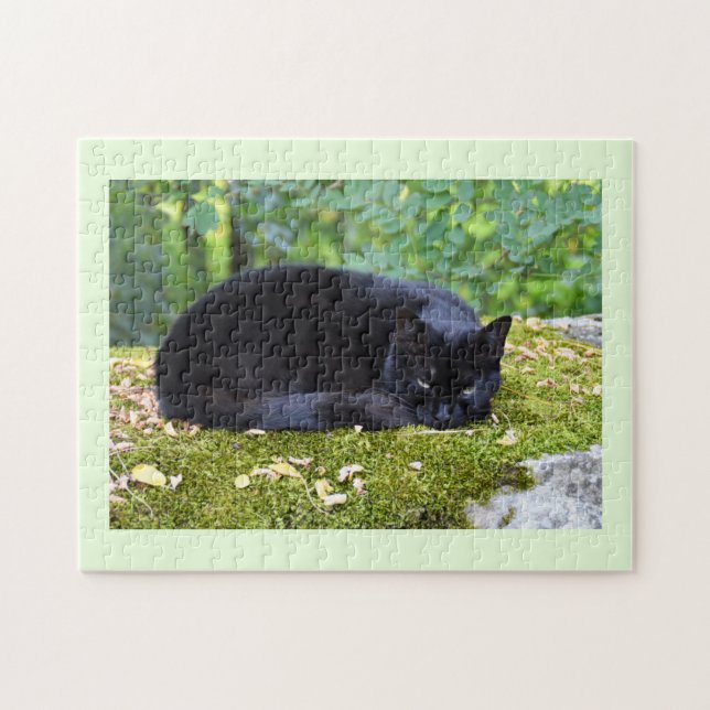 Sooty Jigsaw Puzzle (Horizontal)