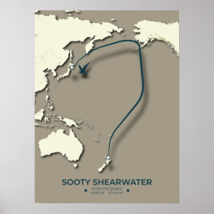 Sooty Shearwater Migration Map – Minimalist Poster