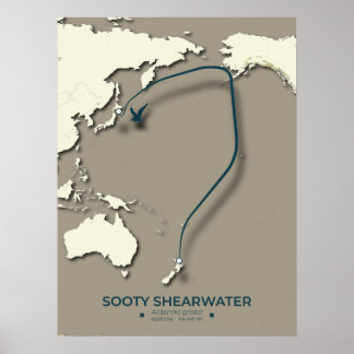 Sooty Shearwater Migration Map – Minimalist Poster