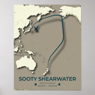 Sooty Shearwater Migration Map – Minimalist Poster