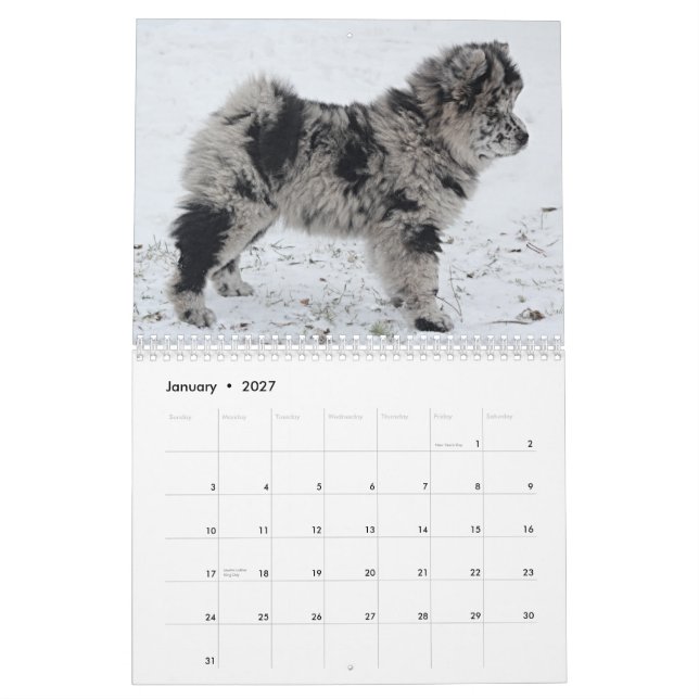 Sophia 2015 Custom Chow Calendar (Jan 2027)