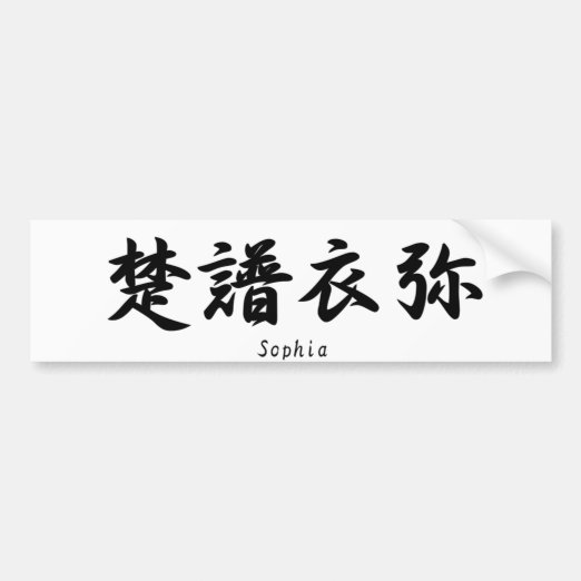 Translated Into Japanese Kanji Bumper Stickers & Car Stickers Zazzle CA