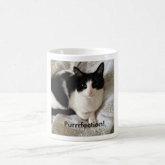 Sophisticated coffee-drinking cat: "Purrrfection!" Coffee Mug