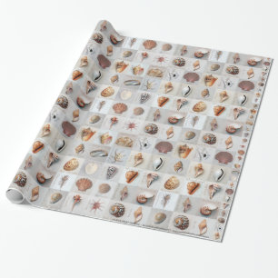 Sophisticated Shells Wrapping Paper