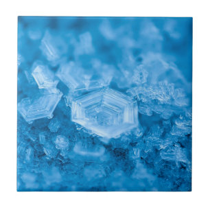 Sophisticated Style: Elegance Ceramic Tile Collect