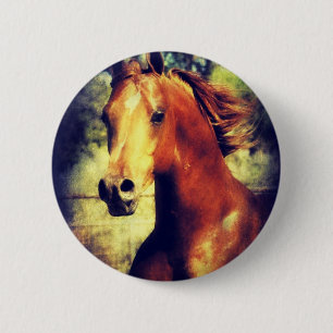 Sorrel Arabian 2 Inch Round Button