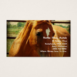 Sorrel dans stylo rond