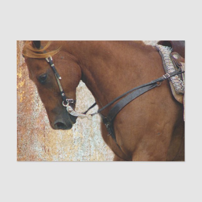 Sorrel Western Horse Grunge Tissue Paper (Front)