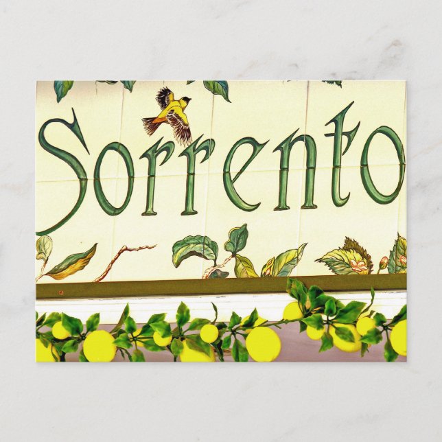 Sorrento,  Italy,  Sign Postcard (Front)