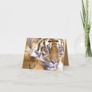 Sorry_ Card