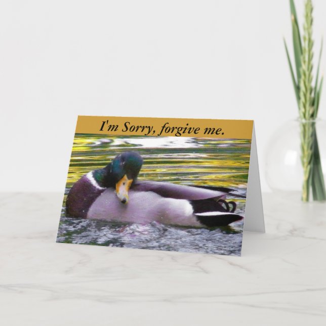 Sorry_ Card (Front)