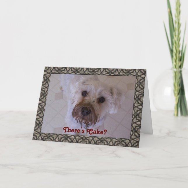 Sorry card Guilty Schnauzer (Front)