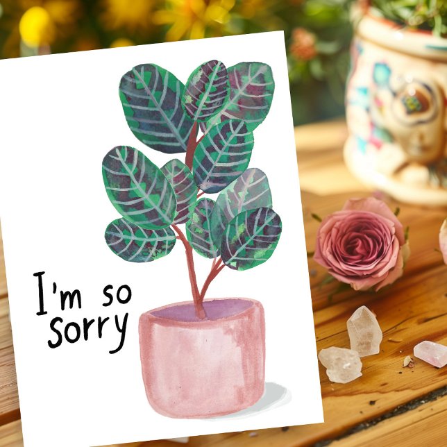 Sorry Condolences Calathea Prayer Plant Watercolor Postcard (Sorry Condolences Sympathy Calathea Prayer Plant Watercolor Postcard
)