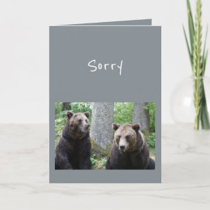 Sorry for what you said Bear Animal Humour Card