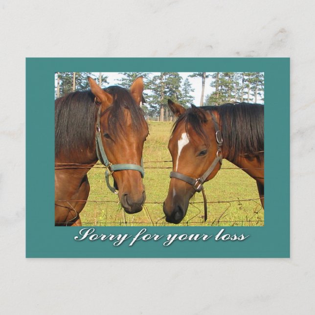 Sorry For Your Loss, Sympathy Two Sad Horses Postcard (Front)