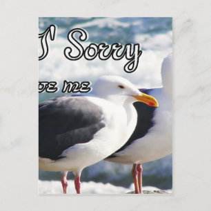 Sorry,Forgive Me_ Postcard