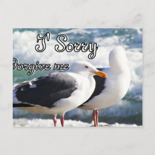 Sorry,Forgive Me_ Postcard
