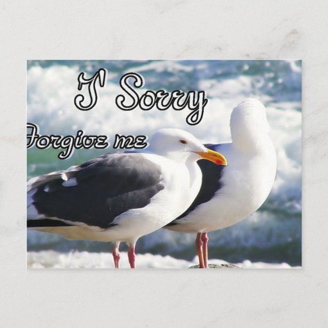Sorry,Forgive Me_ Postcard (Front)