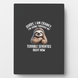 Sorry I Am Cranky I'm Going Through My Terrible Se Plaque