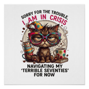 Sorry I Am in Crisis Funny 70th Birthday Quote  Poster