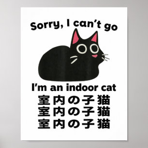 Sorry I Can’t Go I’m An Indoor Cat Funny Indoor Ki Poster