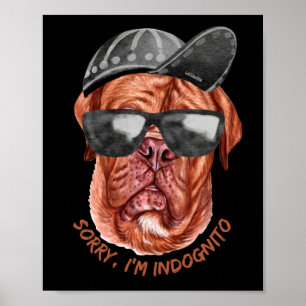 SORRY I'M INDOGNITO (French Mastiff) funny dog     Poster